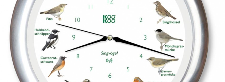 Vogelstimmen-Uhr mit Funk – Alurahmen