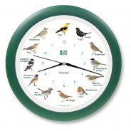 Vogelstimmen Uhr – heimische Singvögel grün