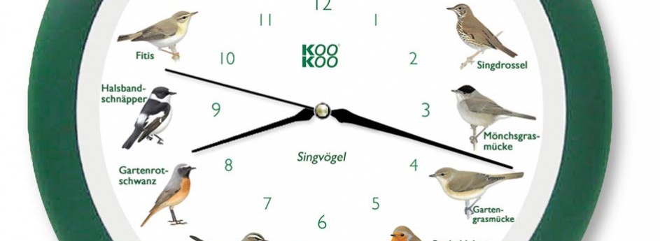 Vogelstimmen Uhr – heimische Singvögel grün
