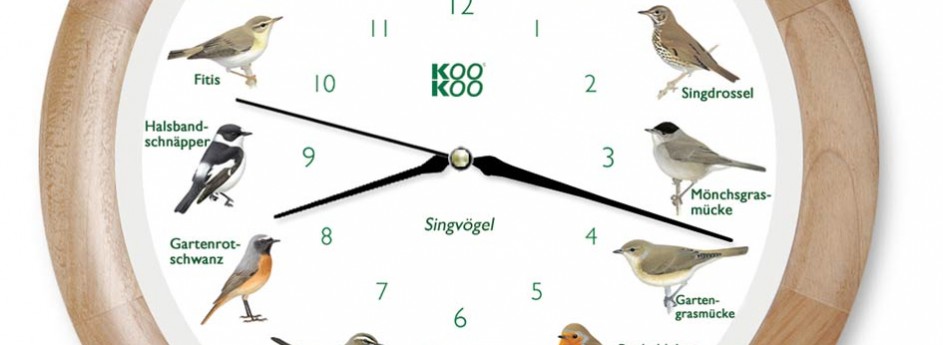 Vogelstimmen Uhr – heimische Singvögel Holz